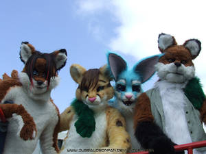 Vixen Made Fursuits Group 2