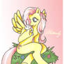 Fluttershy And Angel