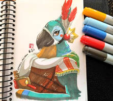 Kass - Zelda Breath of the Wild