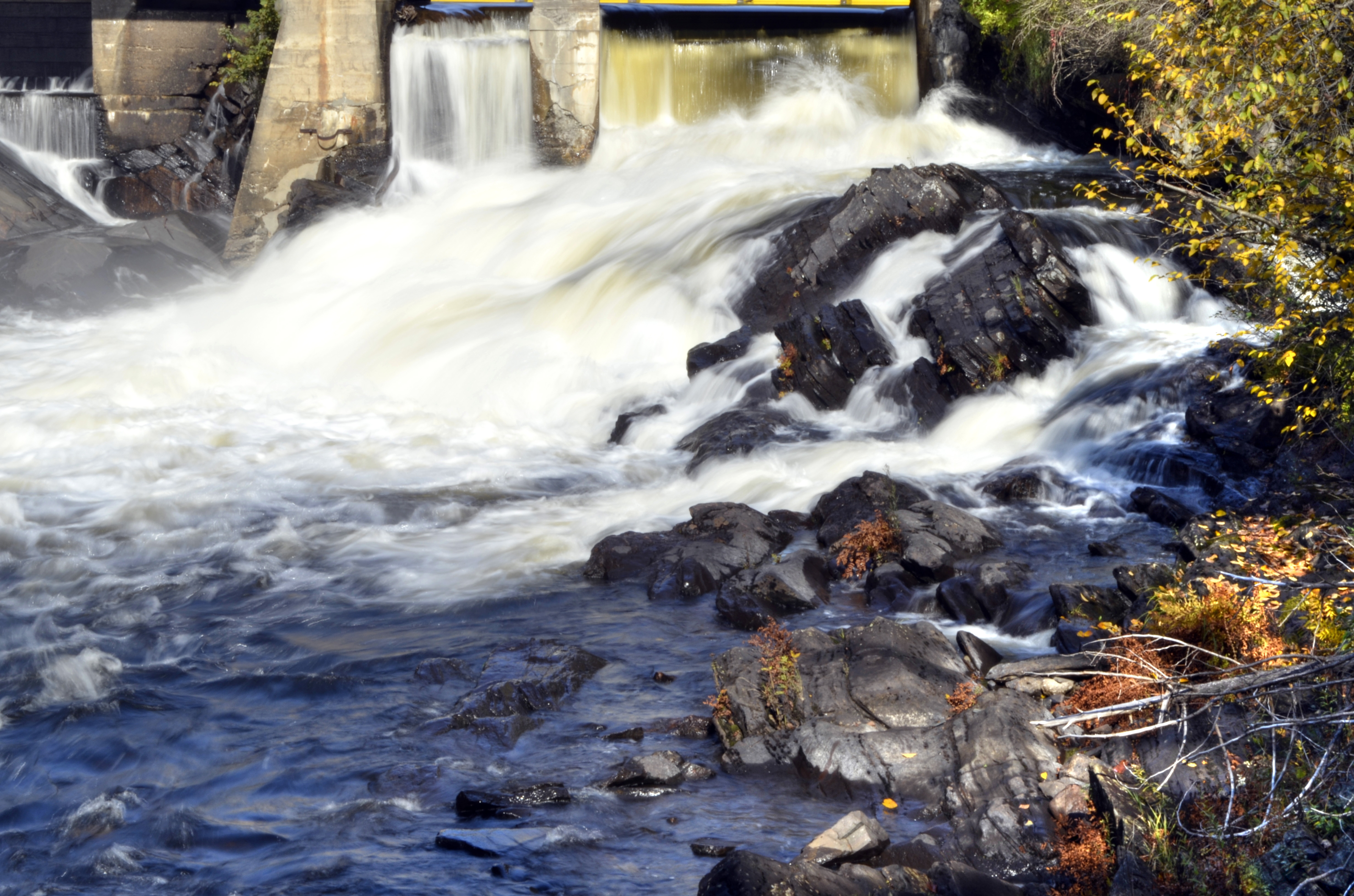 Bracebridge Falls