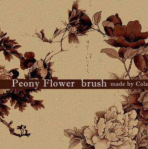 Peony brush