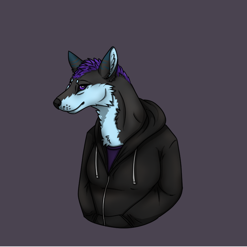 Tsuki Hoodie