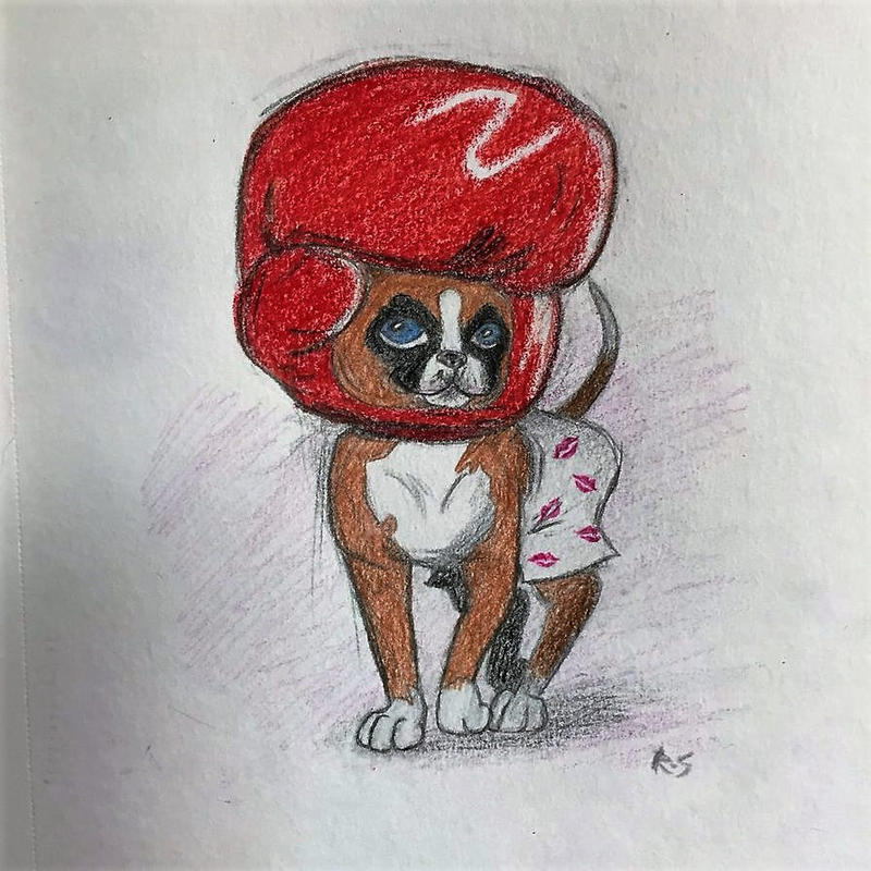 Deviantart Boxer Dog Boxer by Ndzoodzoo on DeviantArt