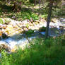 Alpine Mountain Stream