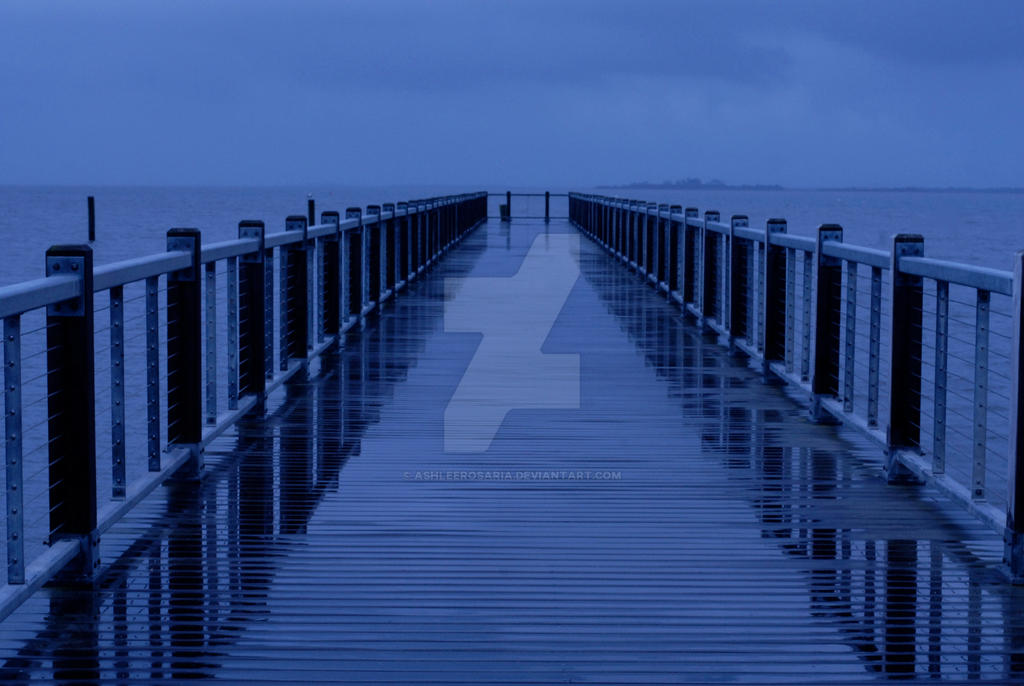 Reflections on the Dock