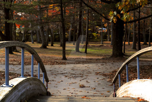 Bridge to Woodlands