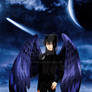 Maximum Ride: Fang