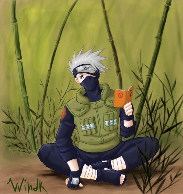 Kakashi and his book