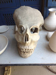 Ceramic Skull