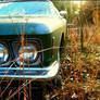 Car.