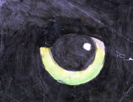 moonlight's eye