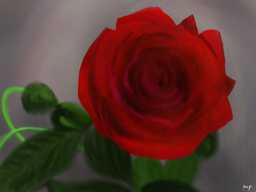 FanArt - Rose by Mixmax3d on DeviantArt