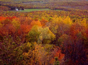 Autumn on Rib mtn