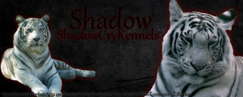 Shadow - Tiger Banner