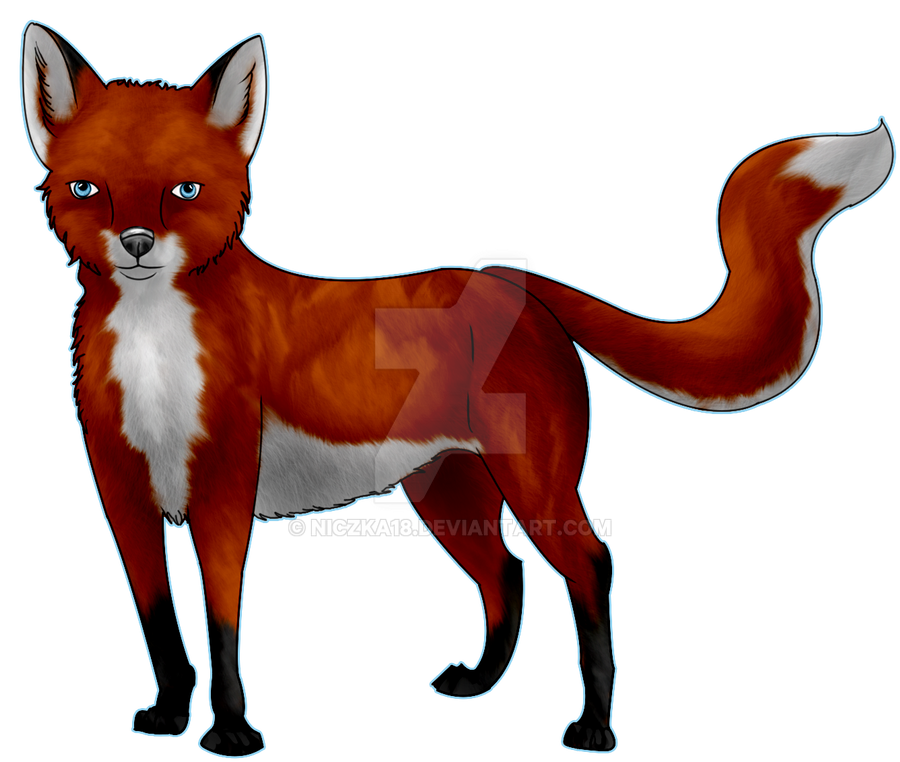 Red Fox by Niczka18 on DeviantArt