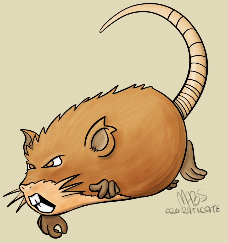 020: Raticate