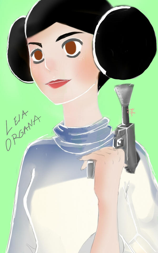 Princess Layer Princess Leia Organa from Star wars by beatrixie29 on DeviantArt