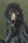 Monkey by Goce88