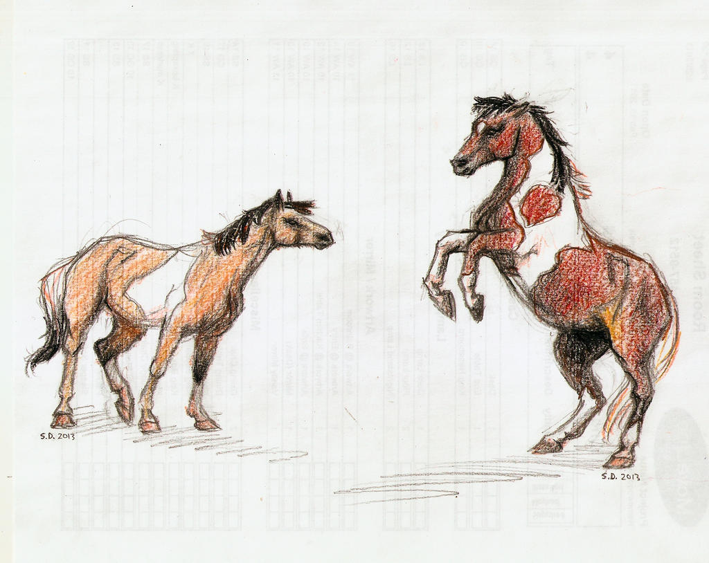 Pony colour sketches