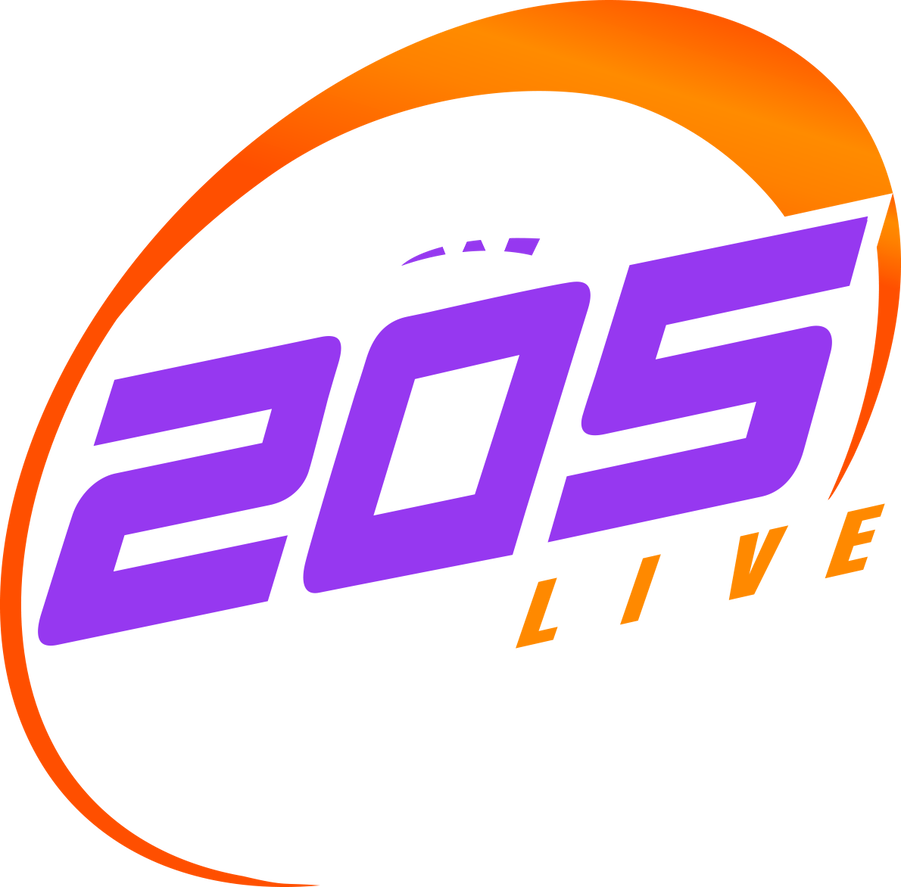 wwe_205_live_2019_logo_png_by_wweseries120_dd16fe9-fullview.png