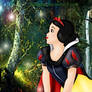 Snow White in the magic forest