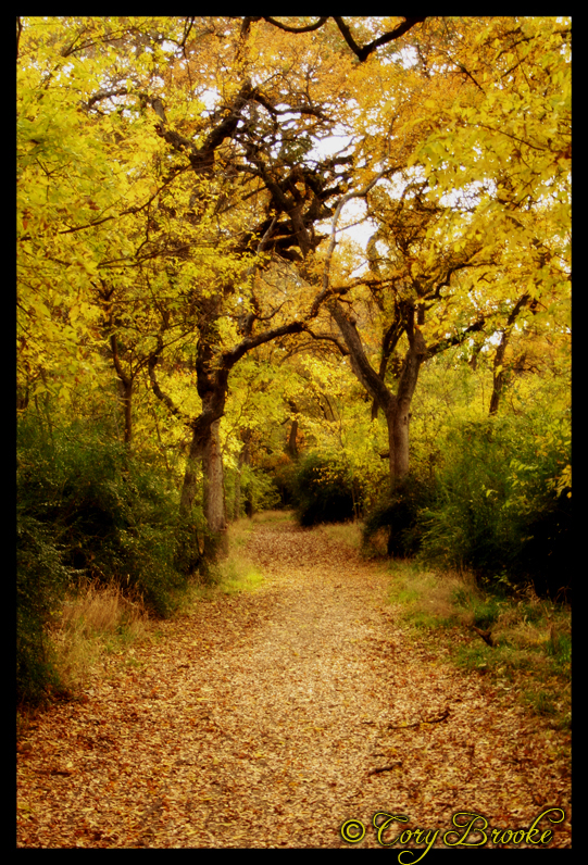 On Her Path