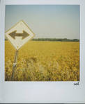 polaroid 07 by speakforme-