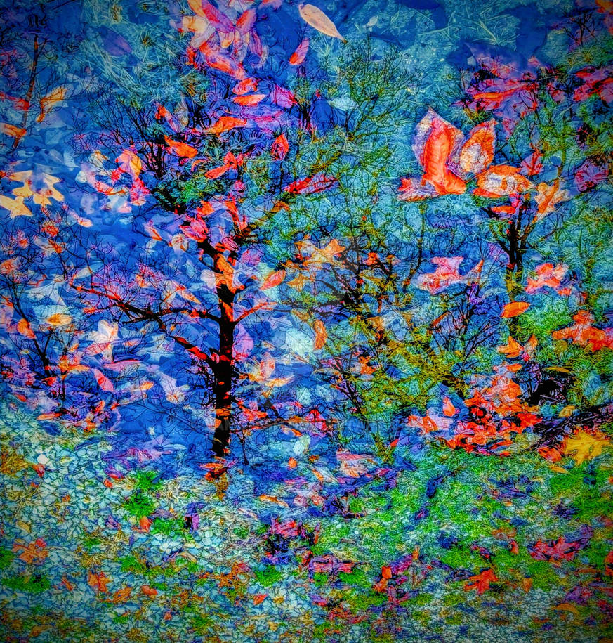 Translucent Reflections of Time (real photo) by Jamonish on DeviantArt