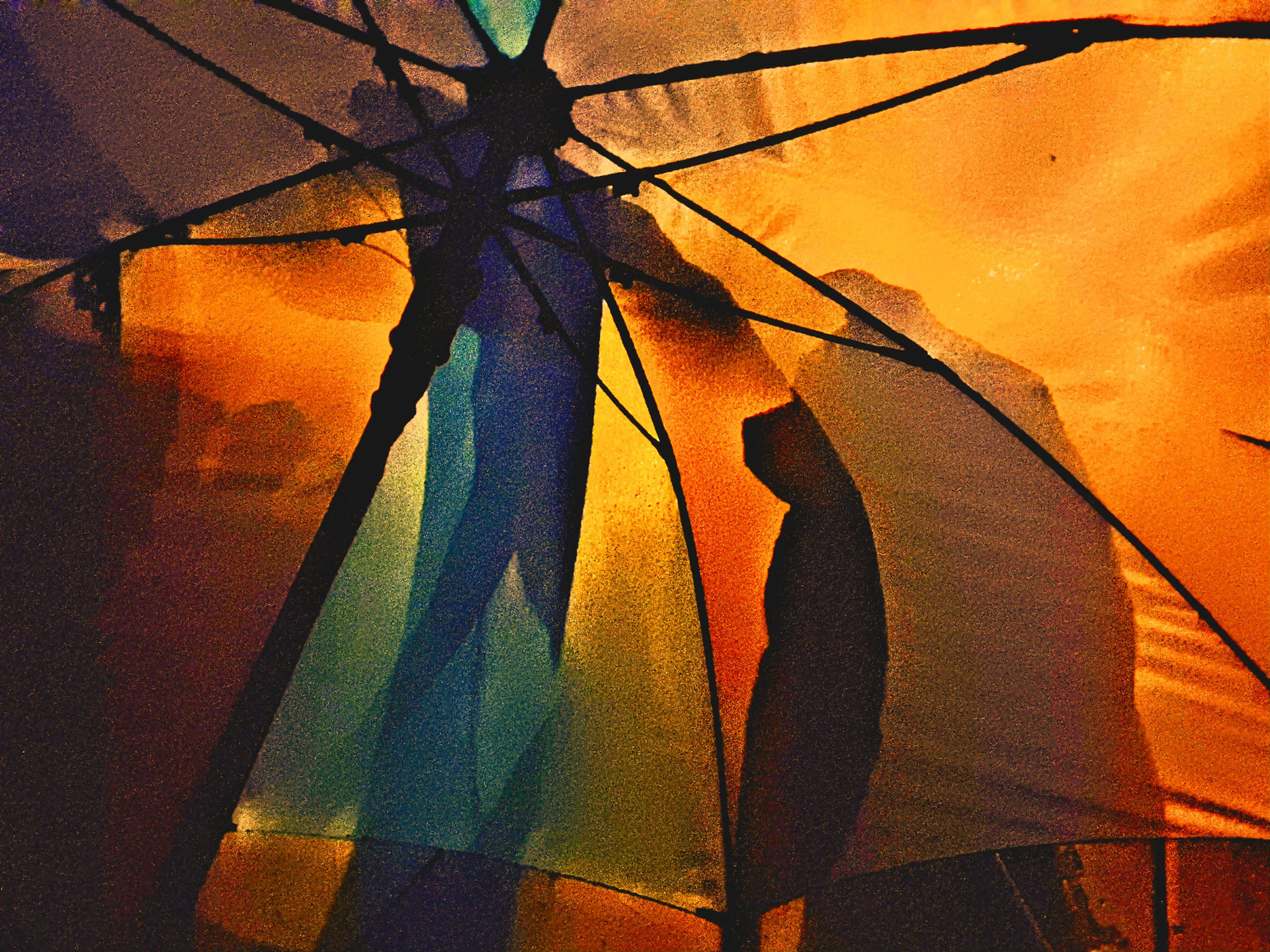 The bequeathed of the rain....