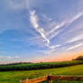 Serenity... (photography)