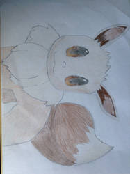 Finished Eevee