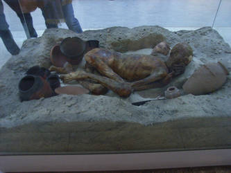 The Remains of a Mummy