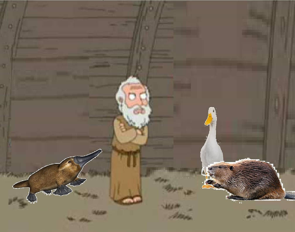 Family Guy Noahs Ark meme: Platypus by movieman410 on DeviantArt