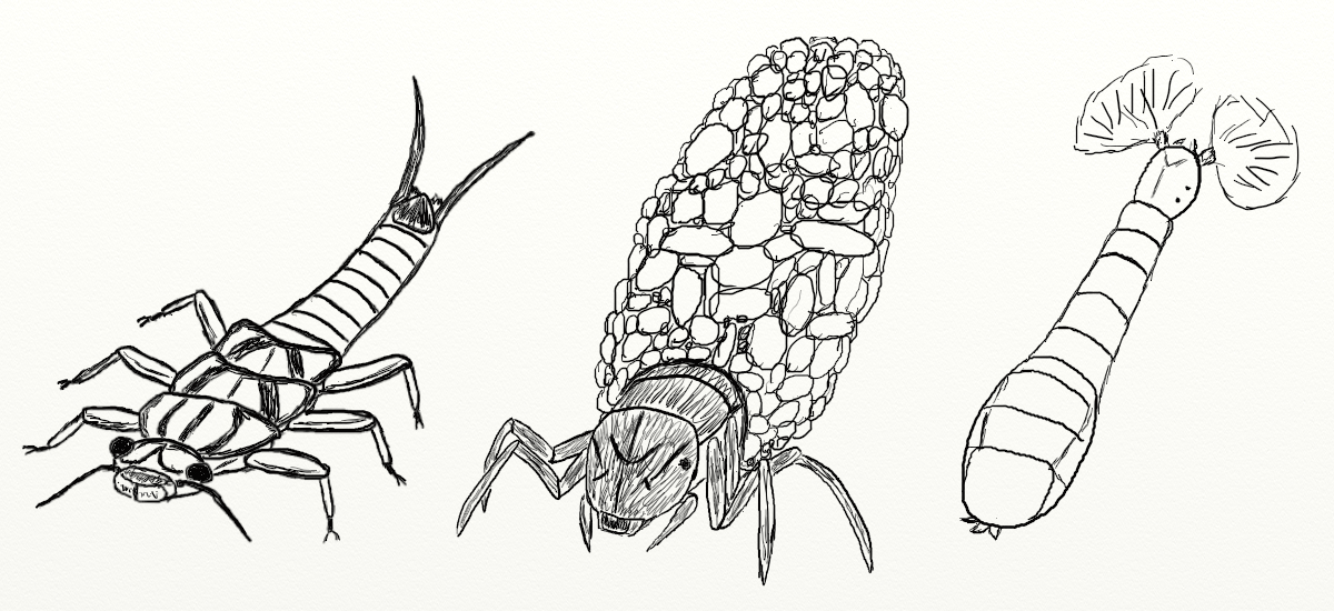 River insects by ConcealedCrawfish on DeviantArt