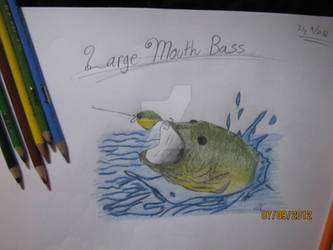 Largemouth Bass