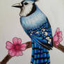 Blue Jay