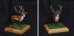 Deer from The Endless Forest by paul-rosenkavalier
