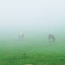 Horses on the Fairy Mountain