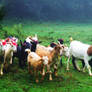 Goats on Fairy Mountain