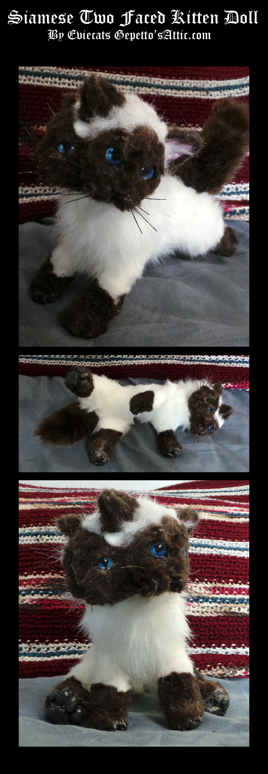 Siamese Disprosopus Kitten Posable Art Doll