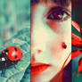 La Coccinelle