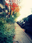 Automne urbain by emilieleger