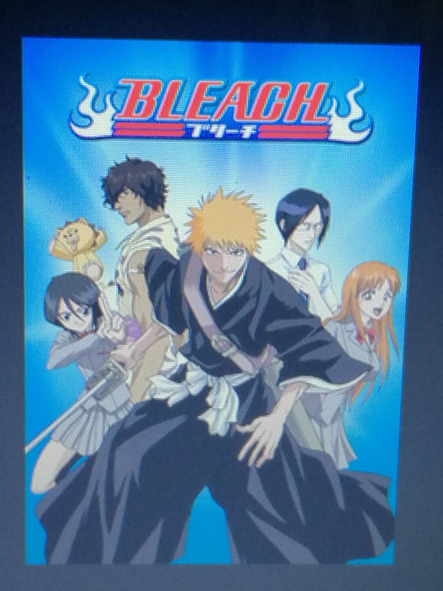 Bleach (2004)