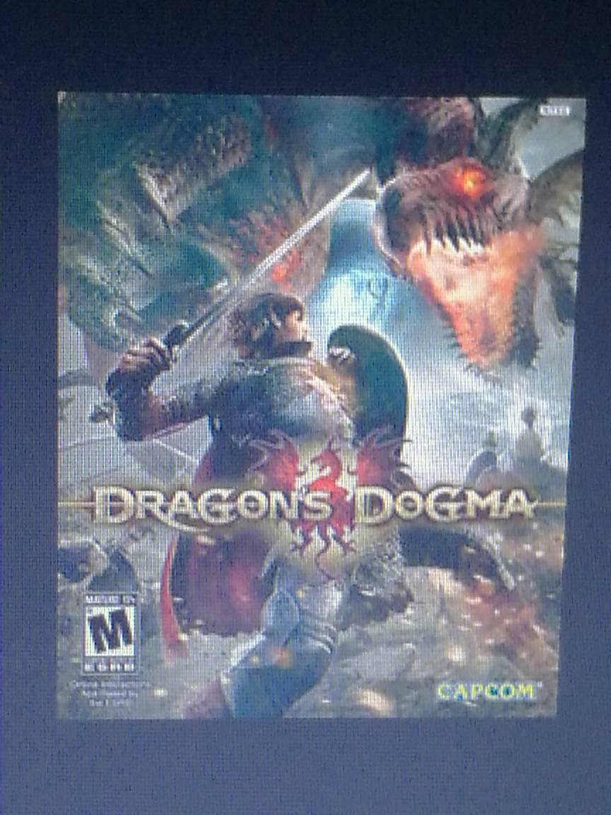 Dragon S Dogma 12 By Locusstrife On Deviantart Dragon S Dogma 12 By Locusstrife On Deviantart
