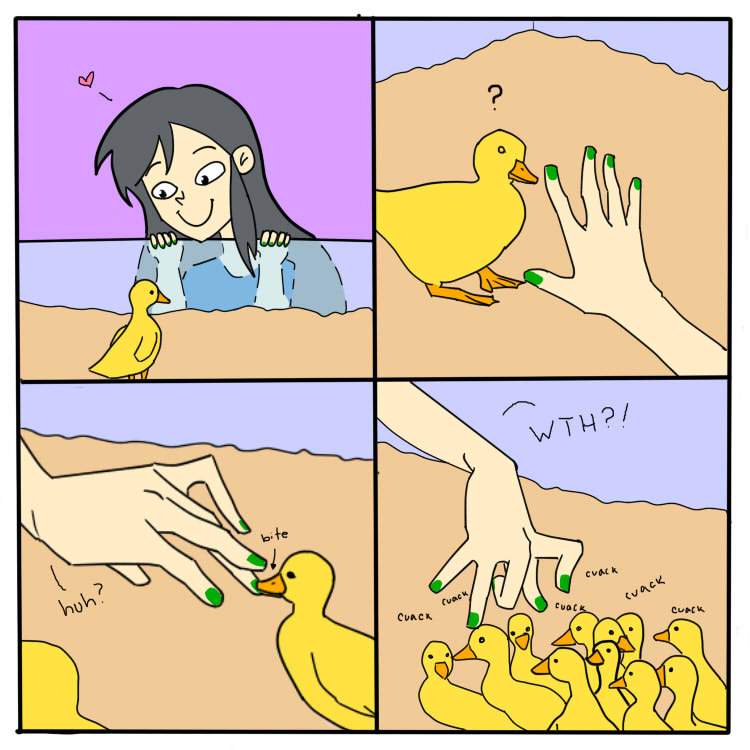 Ducks