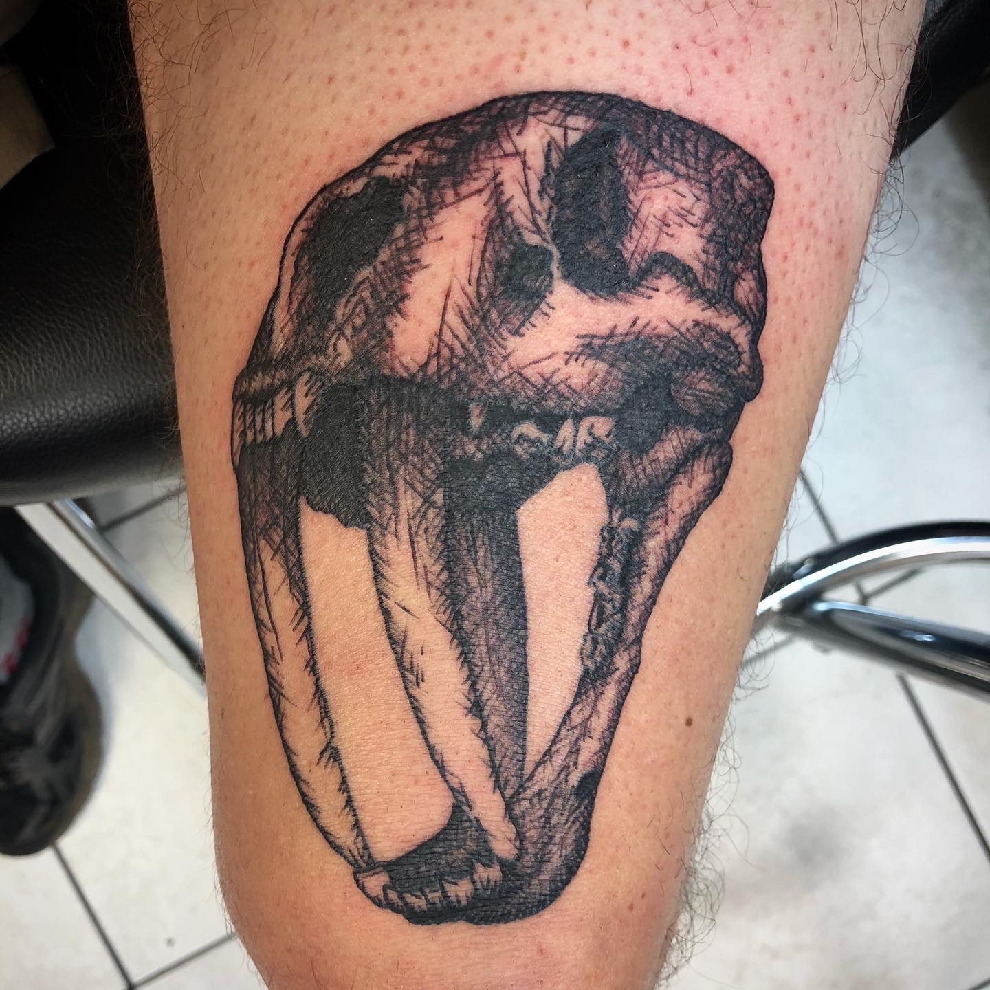 Saber tooth tiger skull illustrative tattoo by HattonCustomDesign on