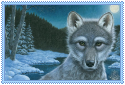 M.C.I.T Blue Wolf Coven LLC by TammiWid on DeviantArt