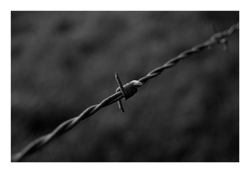 Barbed Wire 2