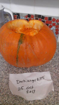 Pumpkin 1