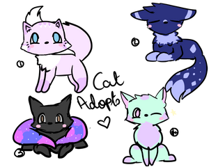 Cat Adopts~